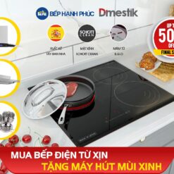Bếp điện từ Dmestik ES 603 DKT - 2 từ 1 điện 60cm kính Schott 11 Mua Bếp điện từ Xin
