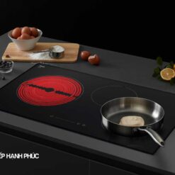 Bếp điện từ Dmestik NA 773 IT