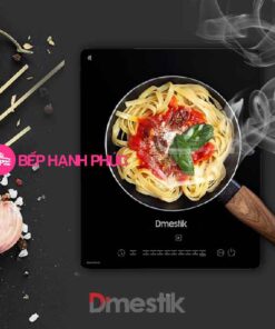 Bếp từ Dmestik DK 88 DKI