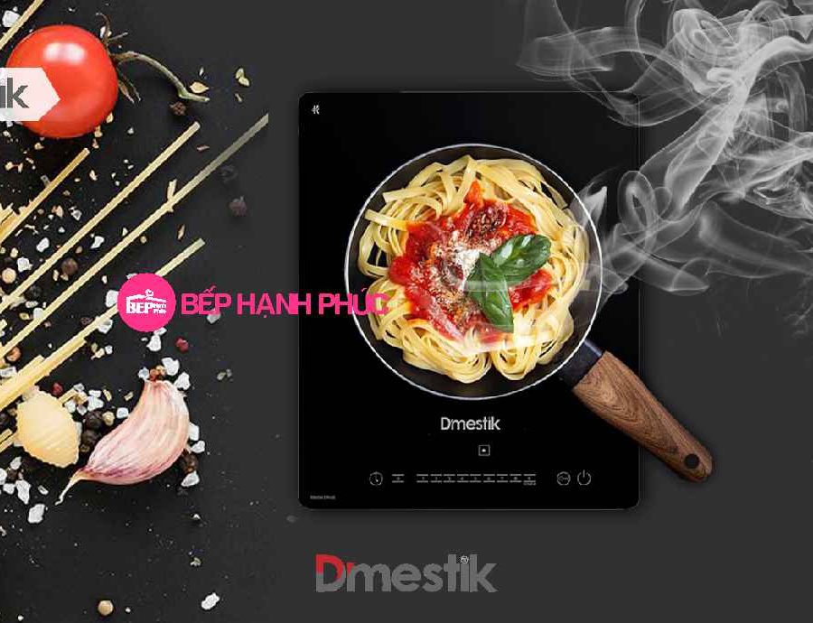Bếp từ Dmestik DK 88 DKI