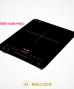 Bếp từ Malloca MCT-K30