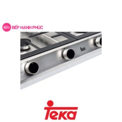 Bếp gas âm Teka Total EX 60.1 3G